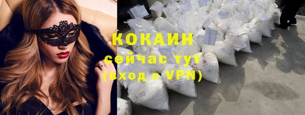 твердый Осинники